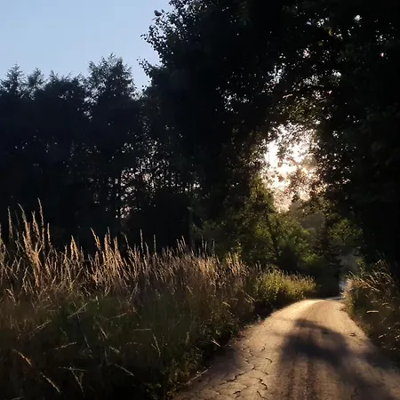 Harling - Waldoase Bad Iburg