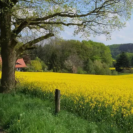 Harling - Waldoase *