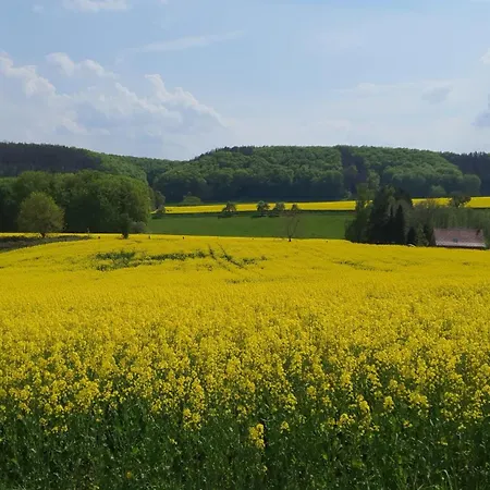 Harling - Waldoase Apartamento *