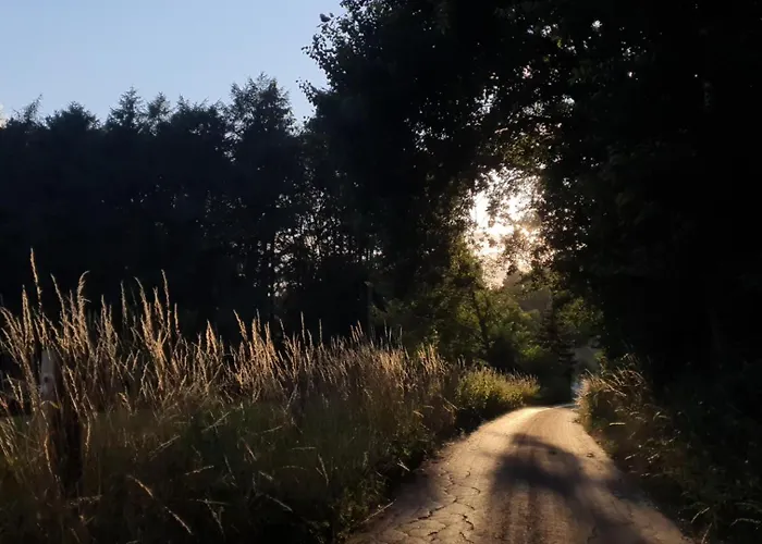 Harling - Waldoase Bad Iburg