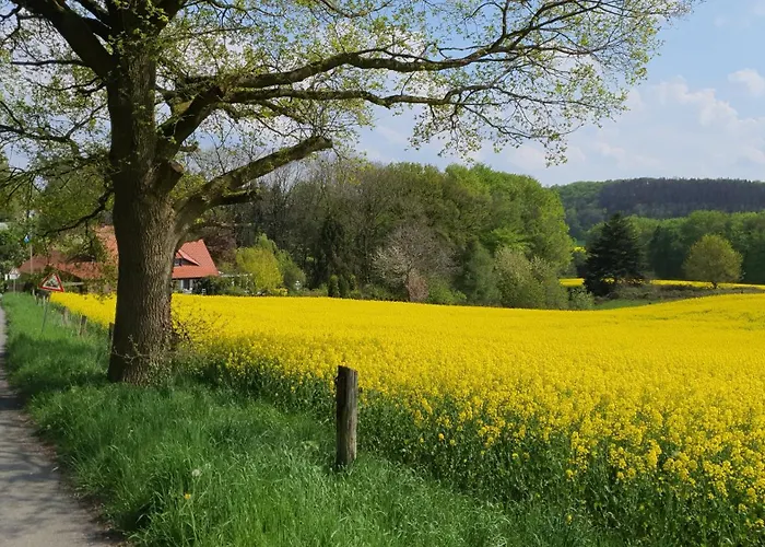 Harling - Waldoase *