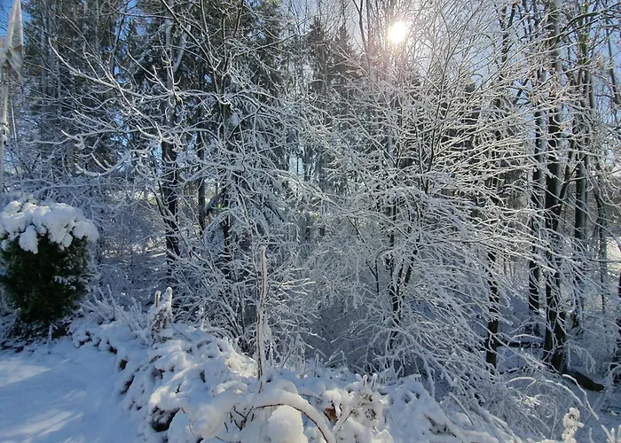 Harling - Waldoase Appartement Bad Iburg